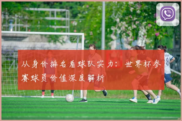 从身价排名看球队实力:世界杯参赛球员价值深度解析