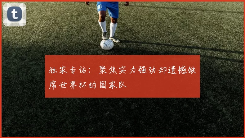 独家专访：聚焦实力强劲却遗憾缺席世界杯的国家队