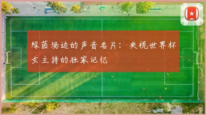 绿茵场边的声音名片:央视世界杯女主持的独家记忆