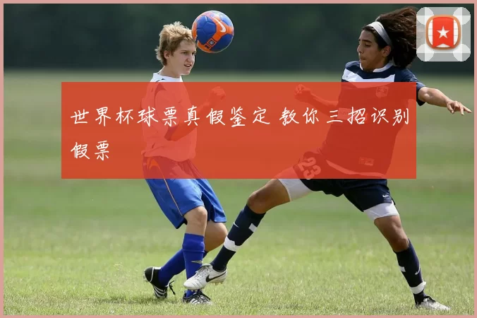 世界杯球票真假鉴定 教你三招识别假票