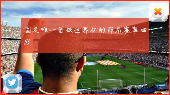 国足唯一晋级世界杯的那届赛事回顾