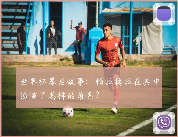 世界杯幕后故事：帕拉梅拉在其中扮演了怎样的角色？