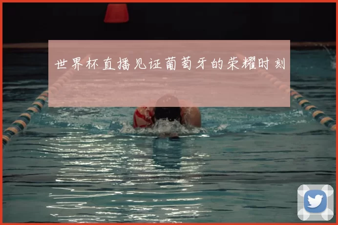 世界杯直播见证葡萄牙的荣耀时刻