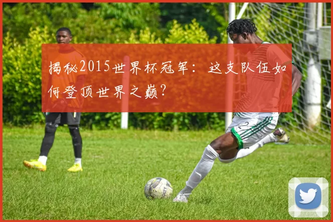 揭秘2015世界杯冠军:这支队伍如何登顶世界之巅?