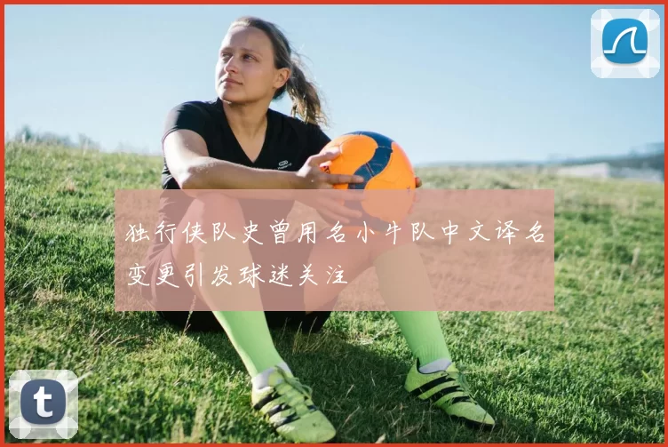 独行侠队史曾用名小牛队中文译名变更引发球迷关注