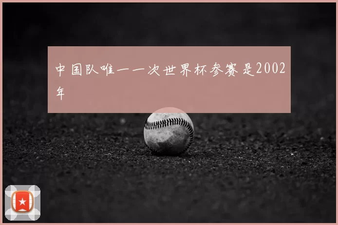 中国队唯一一次世界杯参赛是2002年