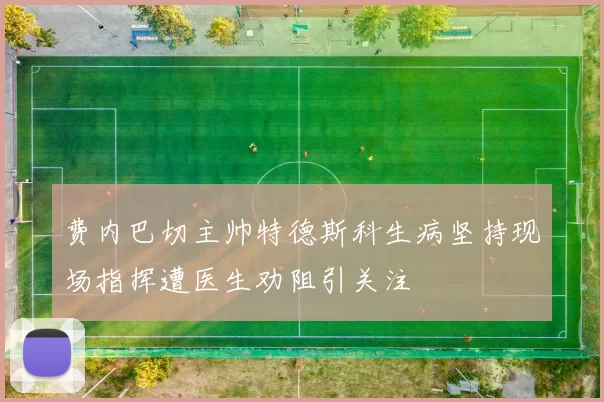 费内巴切主帅特德斯科生病坚持现场指挥遭医生劝阻引关注