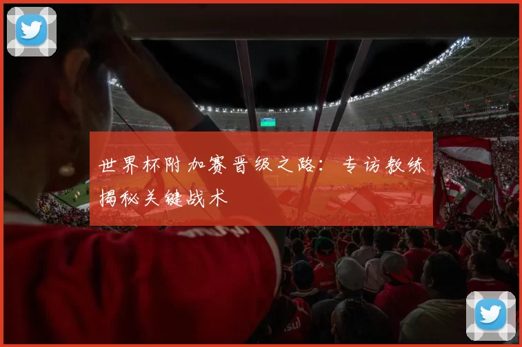 世界杯附加赛晋级之路:专访教练揭秘关键战术