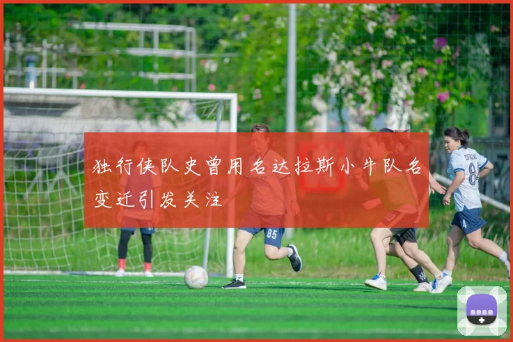 独行侠队史曾用名达拉斯小牛队名变迁引发关注