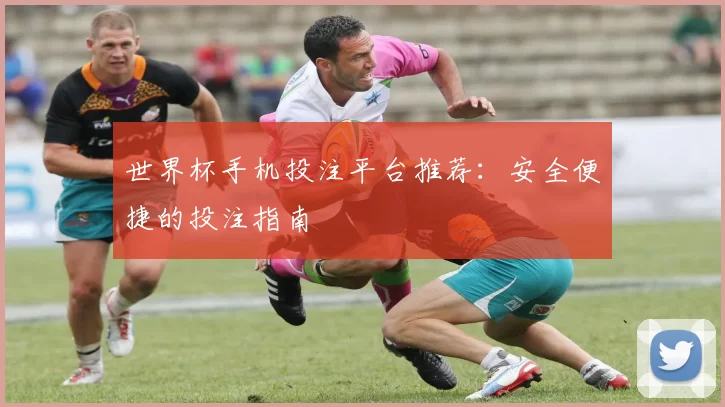 世界杯手机投注平台推荐：安全便捷的投注指南