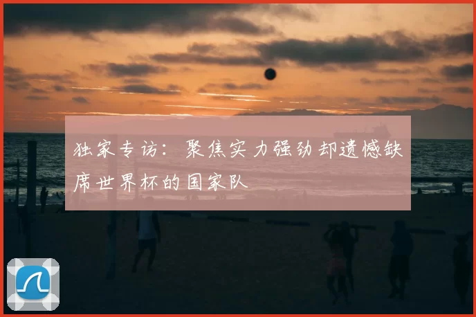 独家专访：聚焦实力强劲却遗憾缺席世界杯的国家队