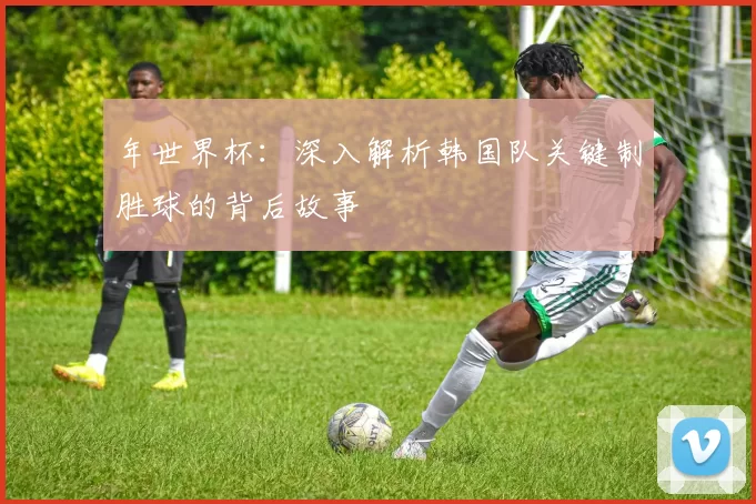 年世界杯：深入解析韩国队关键制胜球的背后故事