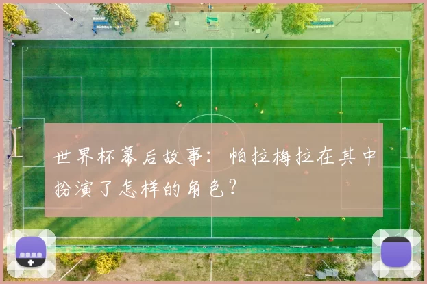世界杯幕后故事:帕拉梅拉在其中扮演了怎样的角色?